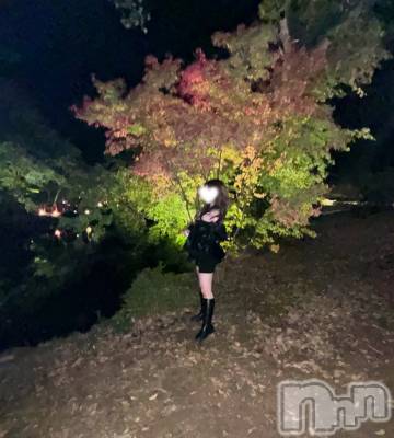 㡦ȯĥꥢ󥺥AMBERС(С) ŷǵҤӤ(26)115ֹ̥֥ռ🍁✨