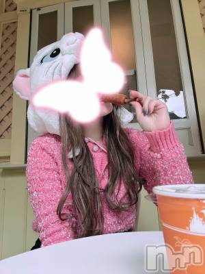 㡦ȯĥꥢ󥺥AMBERС(С) ŷǵҤӤ(26)118̥֥֏‹ɏ‹( Ƨ )‹ɏ‹ɡ
