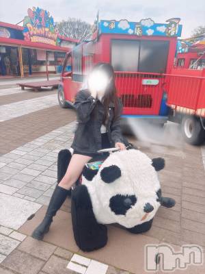 㡦ȯĥꥢ󥺥AMBERС(С) ŷǵҤӤ(26)423̥֥õϵ衻