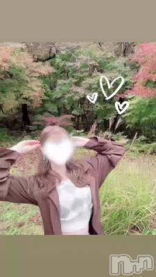 æƤ롩