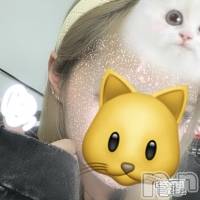 ꤫(ҥߥ) ĹҥߥġĹ襳ѥ˥󥯥 Ĺѥ˥󥯥 HAPPY(󥸥祦ʥѥ˥󥯥 ϥåԡ)ҡ
