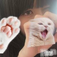 ⤨(ҥߥ) ĹҥߥġĹ襳ѥ˥󥯥 Ĺѥ˥󥯥 HAPPY(󥸥祦ʥѥ˥󥯥 ϥåԡ)ҡ