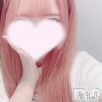 Ϥ(ҥߥ) ĹҥߥġĹ襳ѥ˥󥯥 Ĺѥ˥󥯥 HAPPY(󥸥祦ʥѥ˥󥯥 ϥåԡ)ҡ