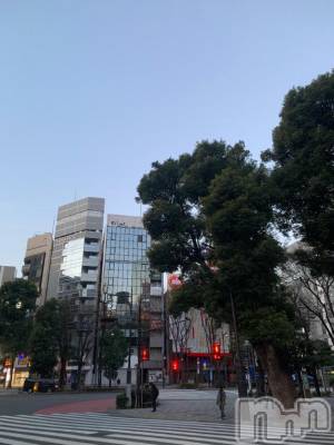 新潟デリヘル 奥様特急 新潟店(オクサマトッキュウニイガタテン) ひみか(20)の2月12日写メブログ「お兄様おはよう‪🔆‬」