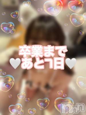 新潟デリヘル 奥様特急 新潟店(オクサマトッキュウニイガタテン) ひみか(20)の12月21日写メブログ「🌸あと7日🌸」