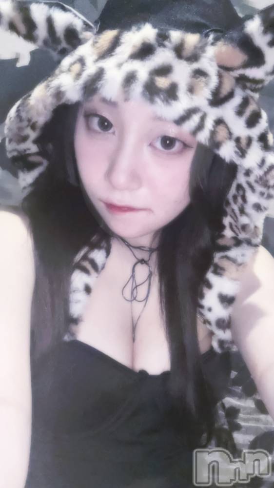ƲХ顦JARDIN CLUB(󥯥) ϤŤ215̥֥֥˥ޥ륤٥🐱🐆🐯
