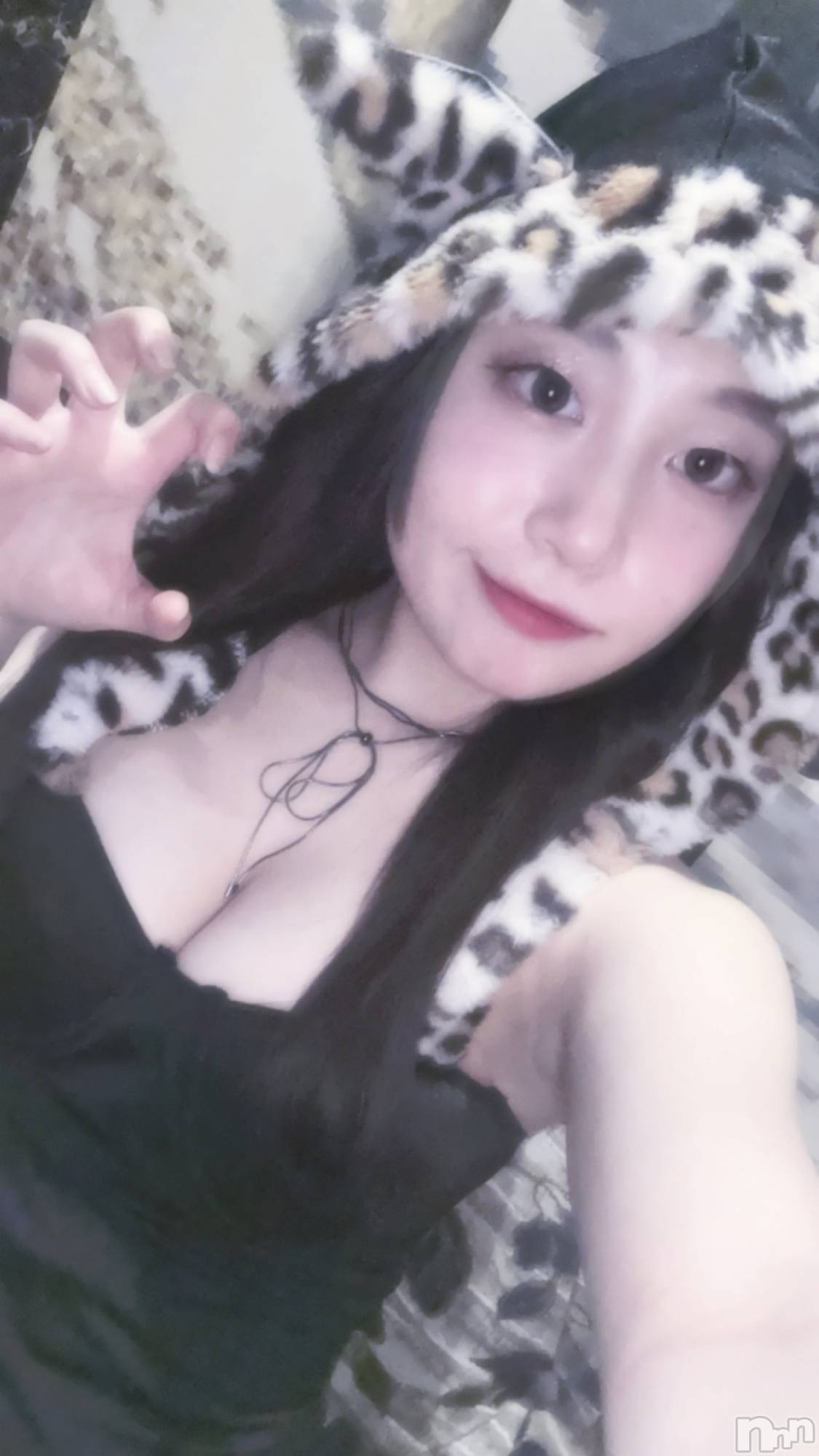 ƲХ顦JARDIN CLUB(󥯥) 2025ǯ214̥֥💝💌🍫✨🐱