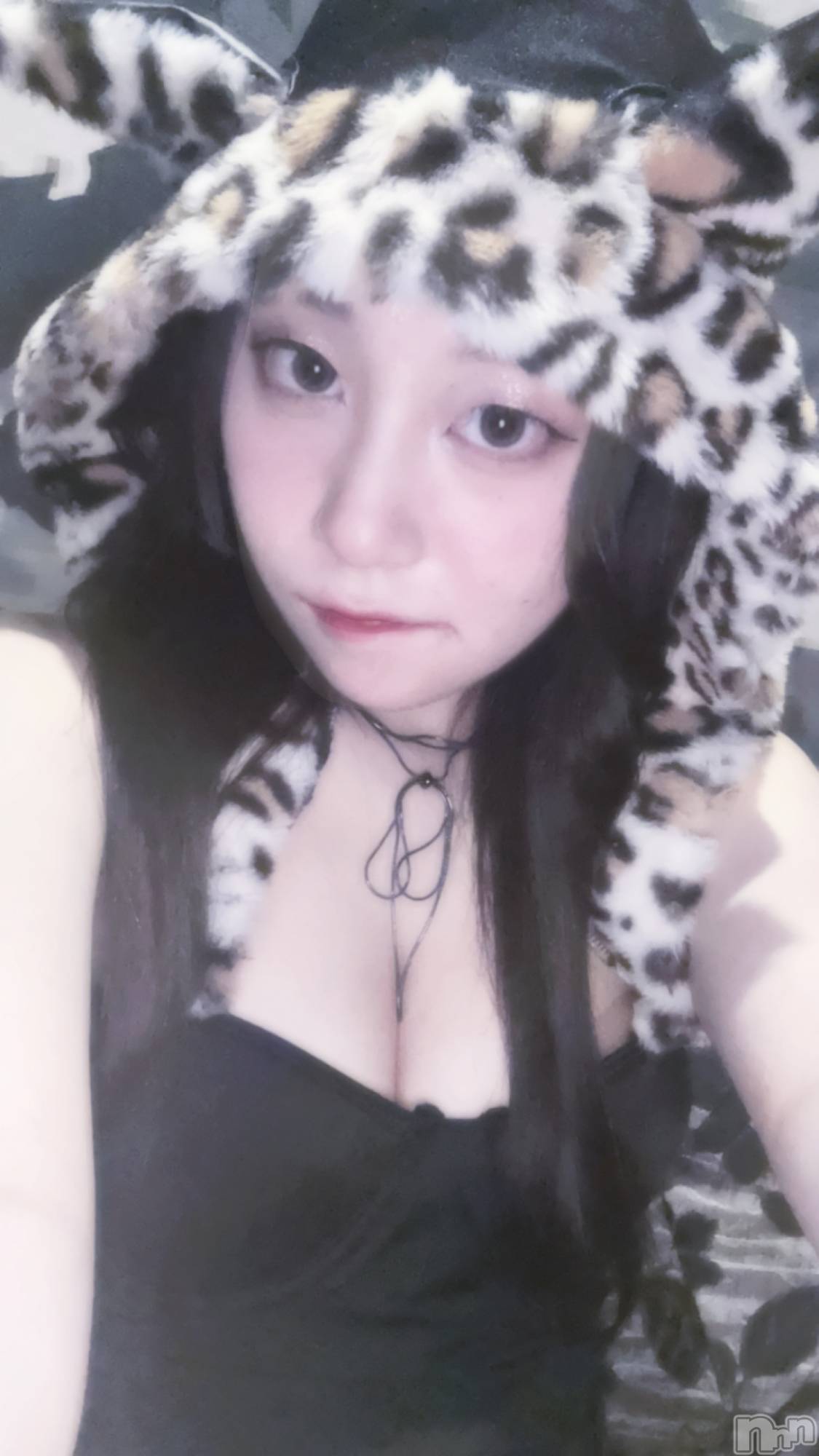 ƲХ顦JARDIN CLUB(󥯥) 2025ǯ215̥֥֥˥ޥ륤٥🐱🐆🐯