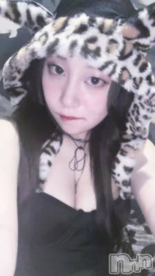 ƲХ顦JARDIN CLUB(󥯥) ϤŤ(96)215̥֥֥˥ޥ륤٥🐱🐆🐯