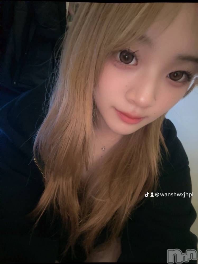 ʥå륺СBar  Angel(С󥸥) ꤪ520̥֥֤ߤʤĹֲФϤ