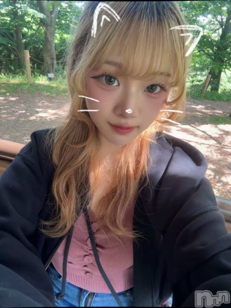 ʥå륺СBar  Angel(С󥸥) ꤪ613ָ̥֥प