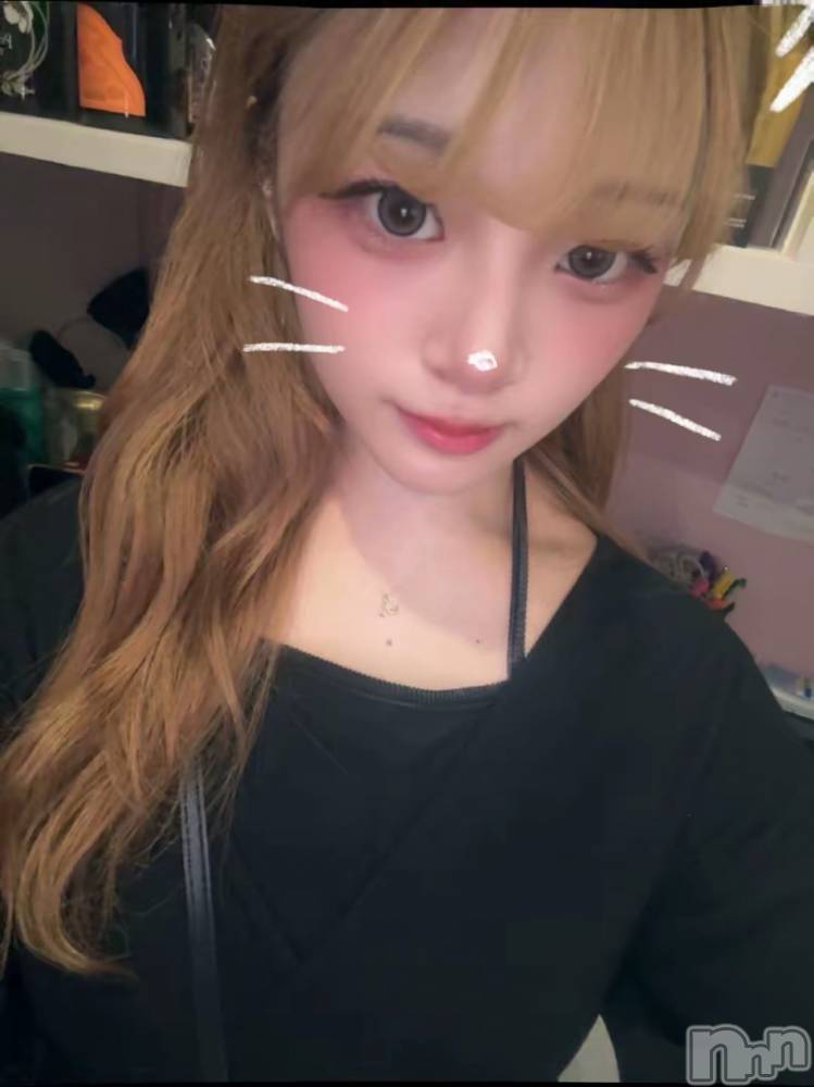 ʥå륺СBar  Angel(С󥸥) ꤪ616ֽ̥֥