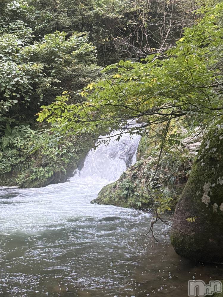 ʥå륺СBar  Angel(С󥸥) ꤪ1111ֺ̥֥ǶϥޤäƤ뤳ȡ