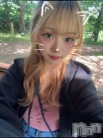 ʥå륺СBar  Angel(С󥸥) ꤪ(20)613ָ̥֥प