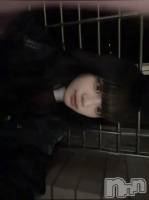 ʥå륺СBar  Angel(С󥸥) ꤪ(20)1115ֹ̥֥äѡȤĤ