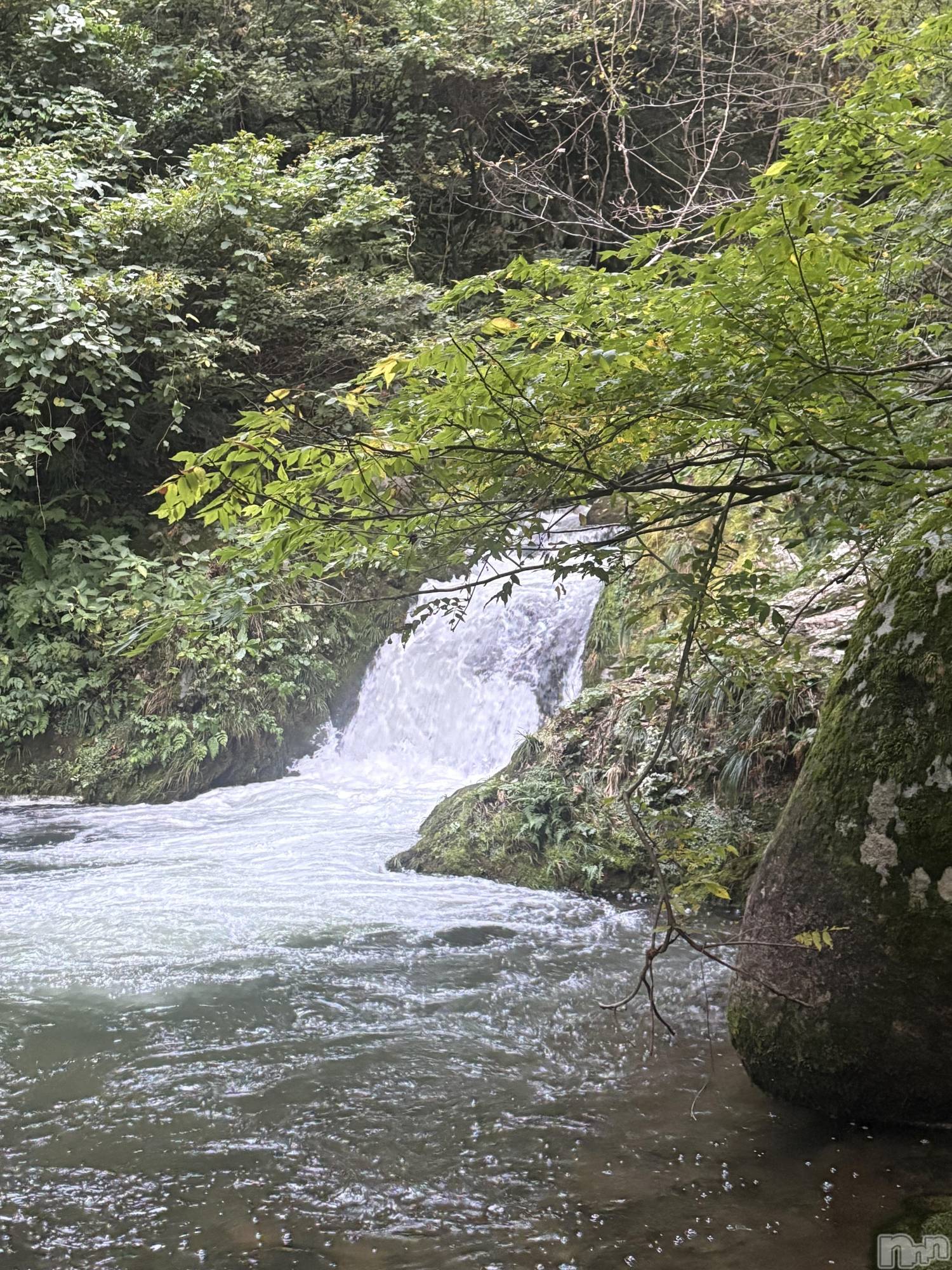 ʥå륺СBar  Angel(С󥸥) 2025ǯ1111ֺ̥֥ǶϥޤäƤ뤳ȡ