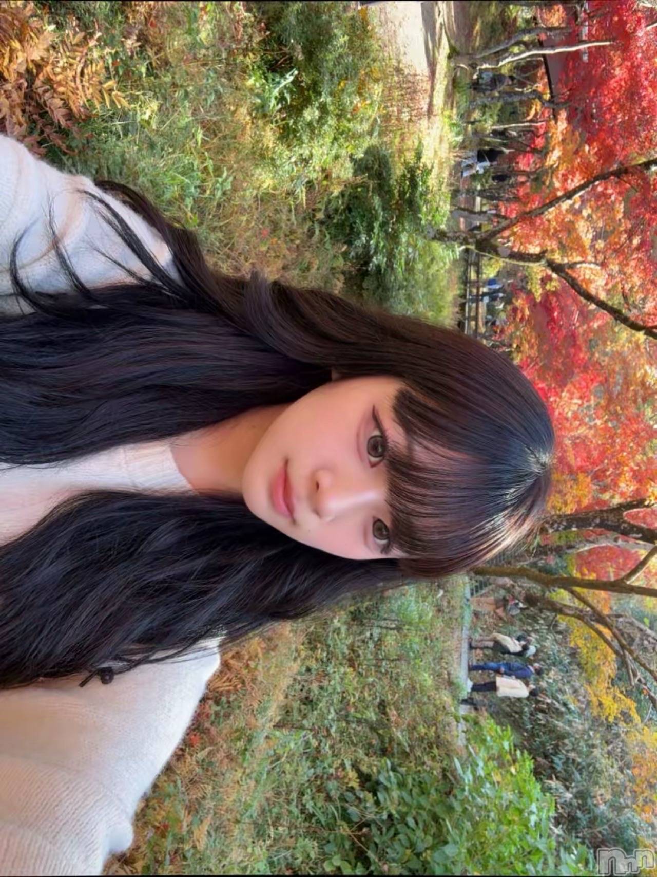 ʥå륺СBar  Angel(С󥸥) 2025ǯ1114̥֥魯🍁