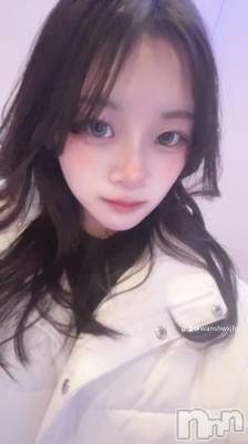 ʥå륺СBar  Angel(С󥸥) ꤪ(20)129̥֥֤ˤΤäƤ롩