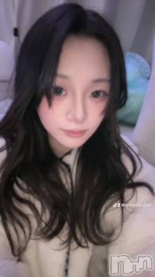 ʥå륺СBar  Angel(С󥸥) ꤪ(20)130ְ̥֥ߤ