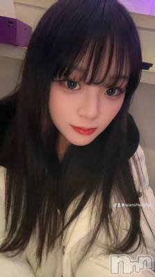 ʥå륺СBar  Angel(С󥸥) ꤪ(20)215̥֥֥Х󥿥💌