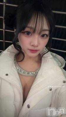 ʥå륺СBar  Angel(С󥸥) ꤪ(20)225̥֥֥顼󿩤٤