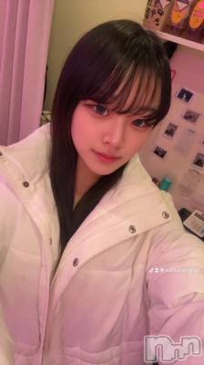 ʥå륺СBar  Angel(С󥸥) ꤪ(20)226̥֥ǰΥ顼🍜