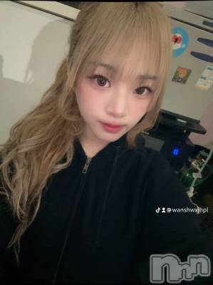 ʥå륺СBar  Angel(С󥸥) ꤪ(20)510ְ̥֥֤