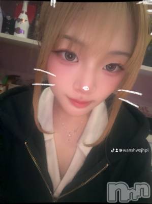 ʥå륺СBar  Angel(С󥸥) ꤪ(20)530ָ̥֥ʤ衢