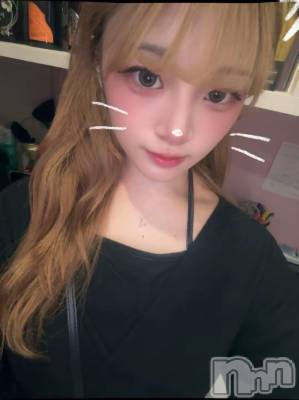 ʥå륺СBar  Angel(С󥸥) ꤪ(20)616ֽ̥֥