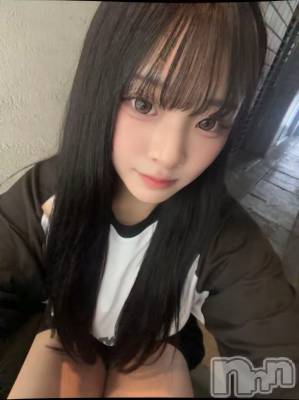 ꤪ(20) Ĺ163cmʥå륺С Bar  Angel(С󥸥)ҡ