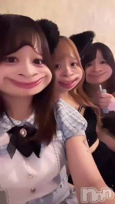 617 2203ʬΥ֥