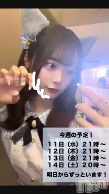 󤷤夦🎶🎶