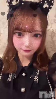 1117 2158ʬΥ֥