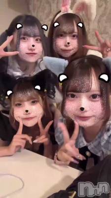 103 2303ʬΥ֥
