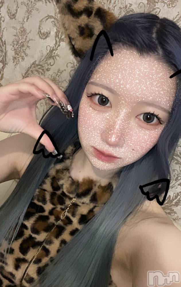 ʥå륺С󥻥ץȥե ˤޤ(󥻥ץȥե˥ޥ륭奦ǥ) 礦1021̥֥₹ʓ