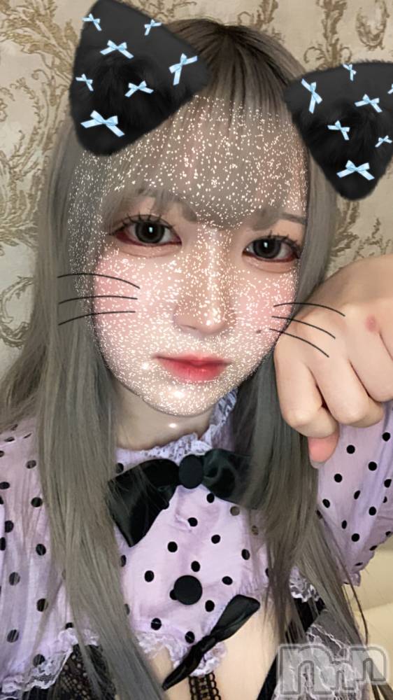 ʥå륺С󥻥ץȥե ˤޤ(󥻥ץȥե˥ޥ륭奦ǥ) 礦1113̥֥2֤‼️