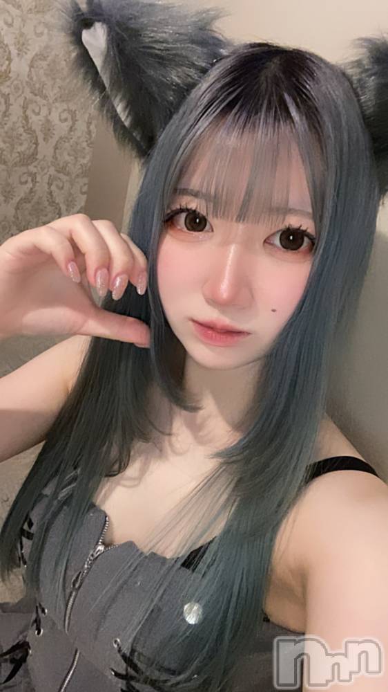 ʥå륺С󥻥ץȥե ˤޤ(󥻥ץȥե˥ޥ륭奦ǥ) 礦1217ֻ̥֥ɿȿ٤
