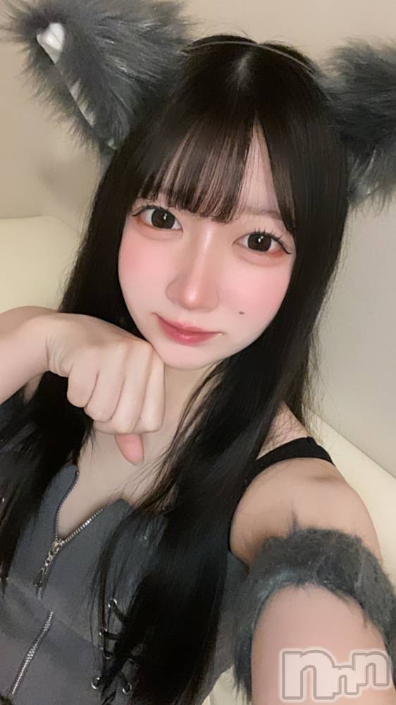 ʥå륺С󥻥ץȥե ˤޤ(󥻥ץȥե˥ޥ륭奦ǥ) 礦15̥֥֤᡼