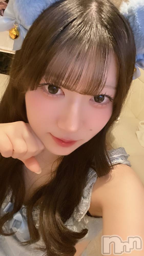 ʥå륺С󥻥ץȥե ˤޤ(󥻥ץȥե˥ޥ륭奦ǥ) 礦216̥֥֤ͤ󡼡🐱