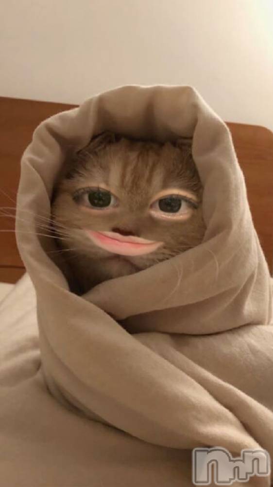 ʥå륺С󥻥ץȥե ˤޤ(󥻥ץȥե˥ޥ륭奦ǥ) 礦34ֺ̥֥ϥС९إǤ