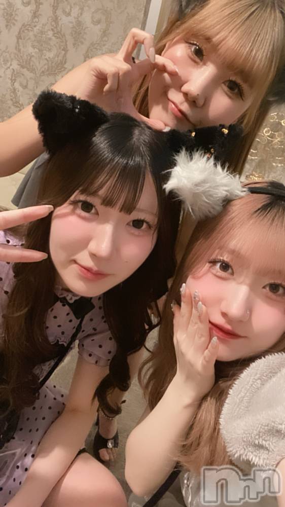 ʥå륺С󥻥ץȥե ˤޤ(󥻥ץȥե˥ޥ륭奦ǥ) 礦331̥֥3⤢꤬Ȥޤ😻
