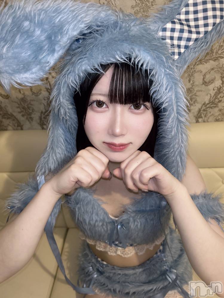 ʥå륺С󥻥ץȥե ˤޤ(󥻥ץȥե˥ޥ륭奦ǥ) 礦528̥֥Ϸͤʤ