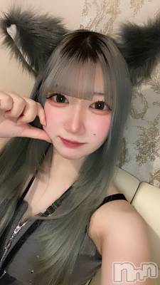 ʥå륺С󥻥ץȥե ˤޤ(󥻥ץȥե˥ޥ륭奦ǥ) 礦1227̥֥֤ȤΤЧ