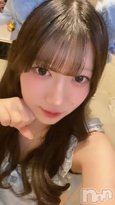 ʥå륺С󥻥ץȥե ˤޤ(󥻥ץȥե˥ޥ륭奦ǥ) 礦216̥֥֤ͤ󡼡🐱