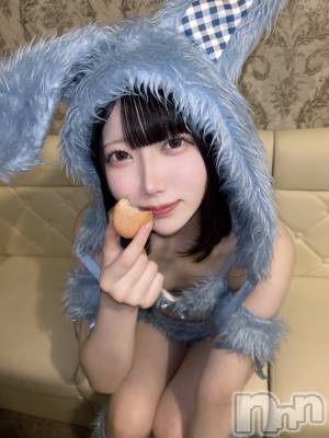 ʥå륺С󥻥ץȥե ˤޤ(󥻥ץȥե˥ޥ륭奦ǥ) 礦519̥֥֤ޤ