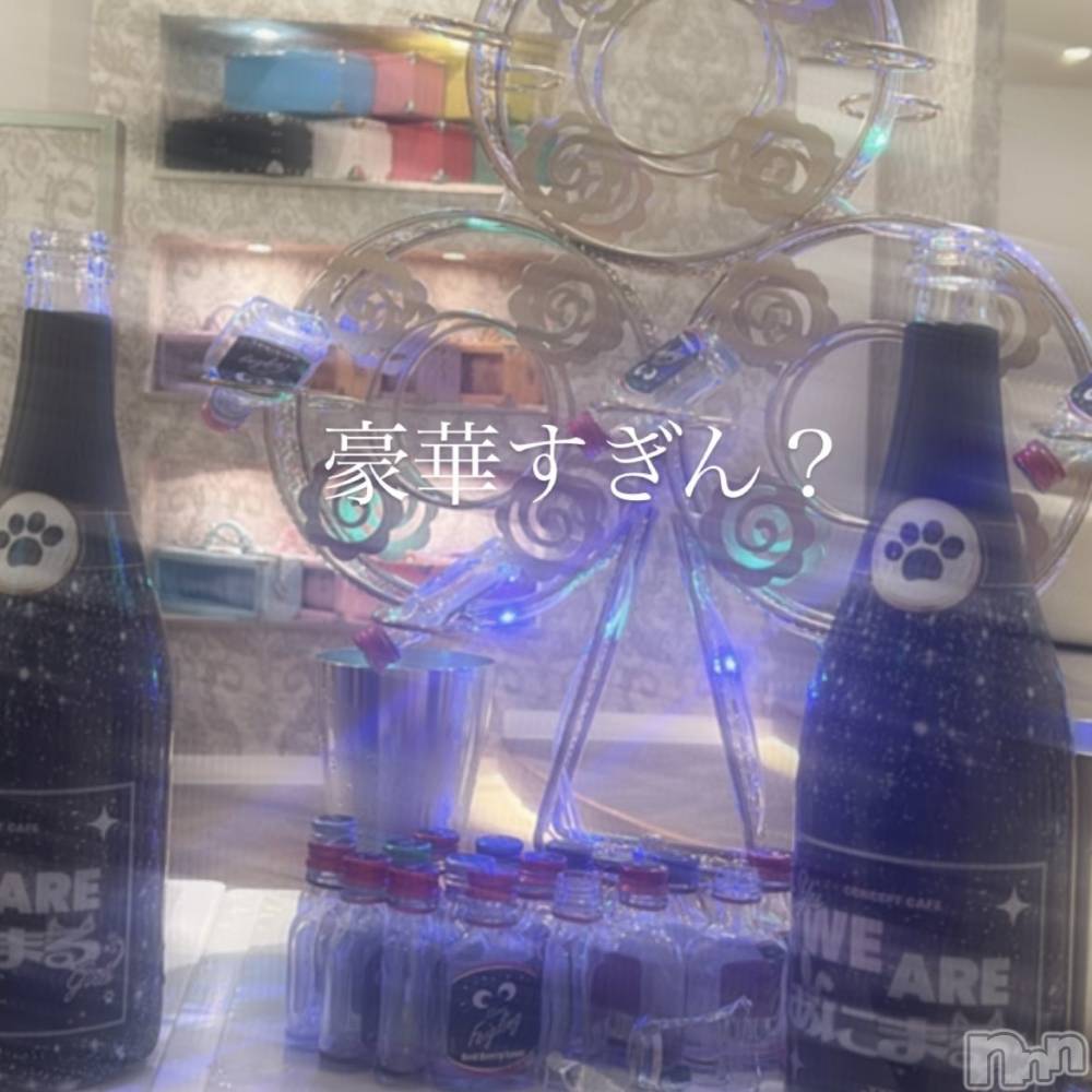 ʥå륺С󥻥ץȥե ˤޤ(󥻥ץȥե˥ޥ륭奦ǥ) ʤ1117̥֥1117 0453ʬΥ֥