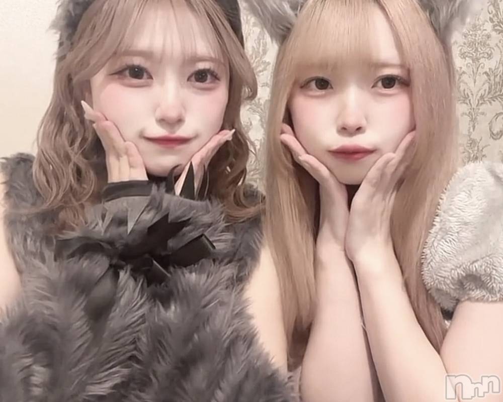 ʥå륺С󥻥ץȥե ˤޤ(󥻥ץȥե˥ޥ륭奦ǥ) ʤ1120̥֥1120 2330ʬΥ֥