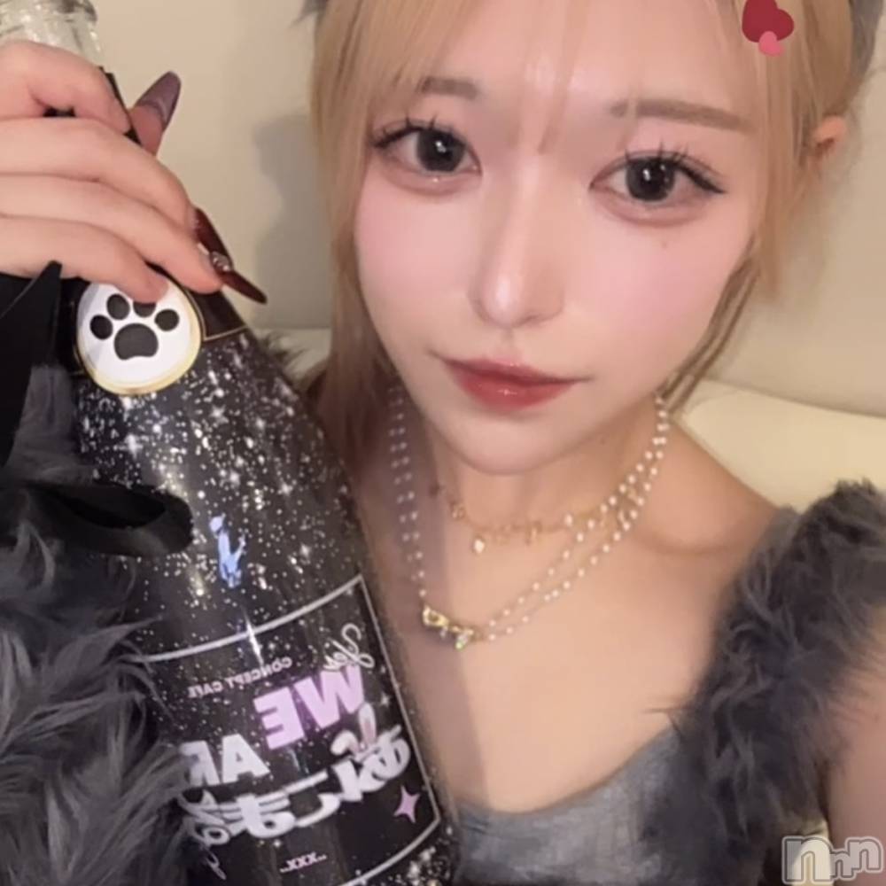 ʥå륺С󥻥ץȥե ˤޤ(󥻥ץȥե˥ޥ륭奦ǥ) ʤ112̥֥112 2120ʬΥ֥