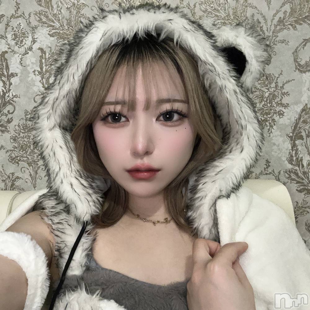 ʥå륺С󥻥ץȥե ˤޤ(󥻥ץȥե˥ޥ륭奦ǥ) ʤ36̥֥36 0139ʬΥ֥