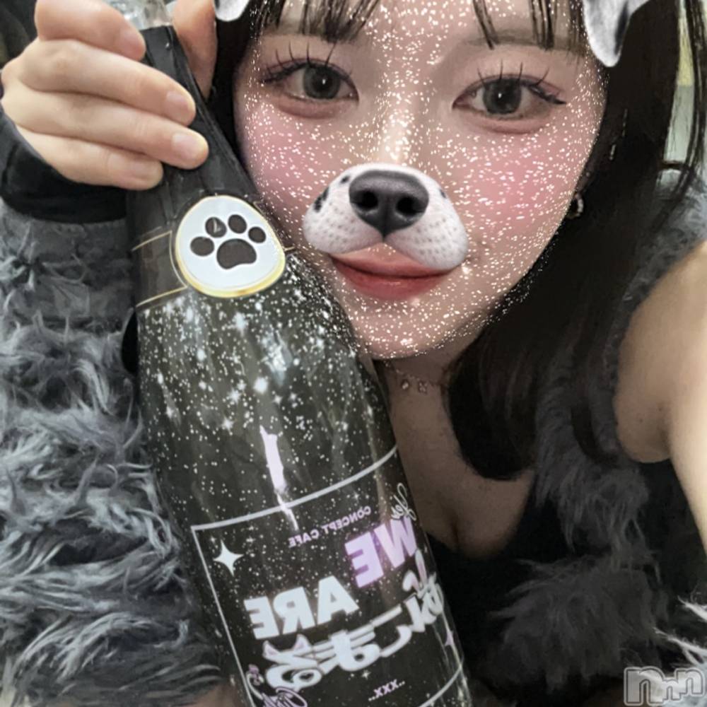 ʥå륺С󥻥ץȥե ˤޤ(󥻥ץȥե˥ޥ륭奦ǥ) ʤ424̥֥424 0655ʬΥ֥